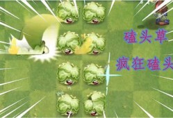 最新 植物爆料视频大全,最新爆料视频大全揭秘大自然奥秘