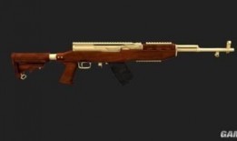 m4枪皮最新爆料,神秘外观与强大性能一触即发