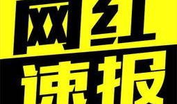 石家庄天天爆料事件最新,最新事件追踪，揭秘背后真相